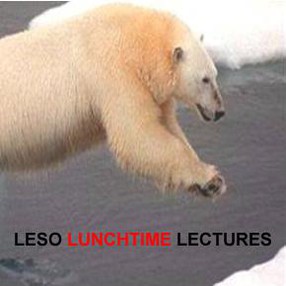 Polar bear symbolising global warming consequences