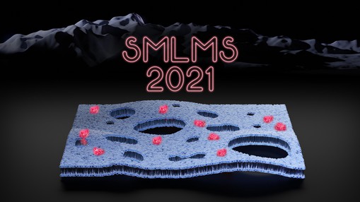 SMLMS 2021