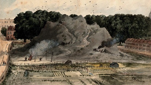 Allotment gardens. Watercolour by Edward Henry Dixon (1837). Compare Wellcome Library, London.