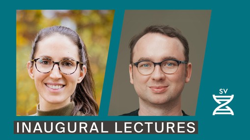Inaugural lectures