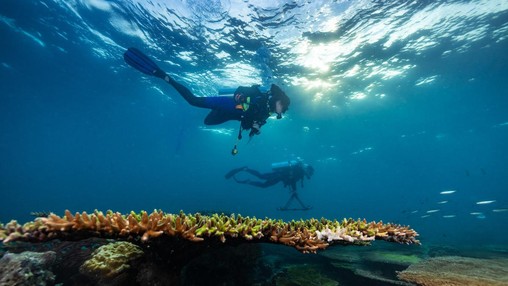 3D mapping of a reef in the Bab el-Mandeb Strait, November 2023. © Lukasz Warzecha