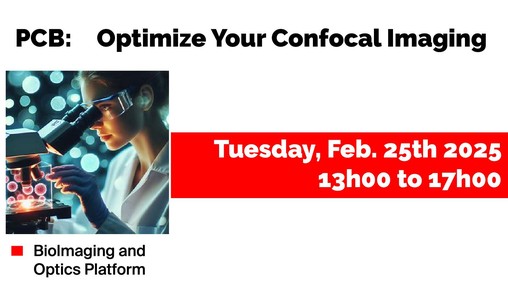 Optimize Confocal