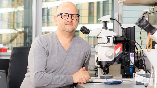 Prof. Tobias Langenhan