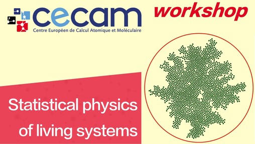 Statistical physics of living systems