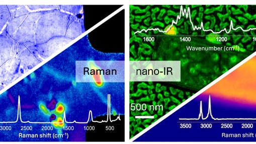 Evolution of correlative vibrational spectroscopy beyond AFM. Representative case studies illustrate